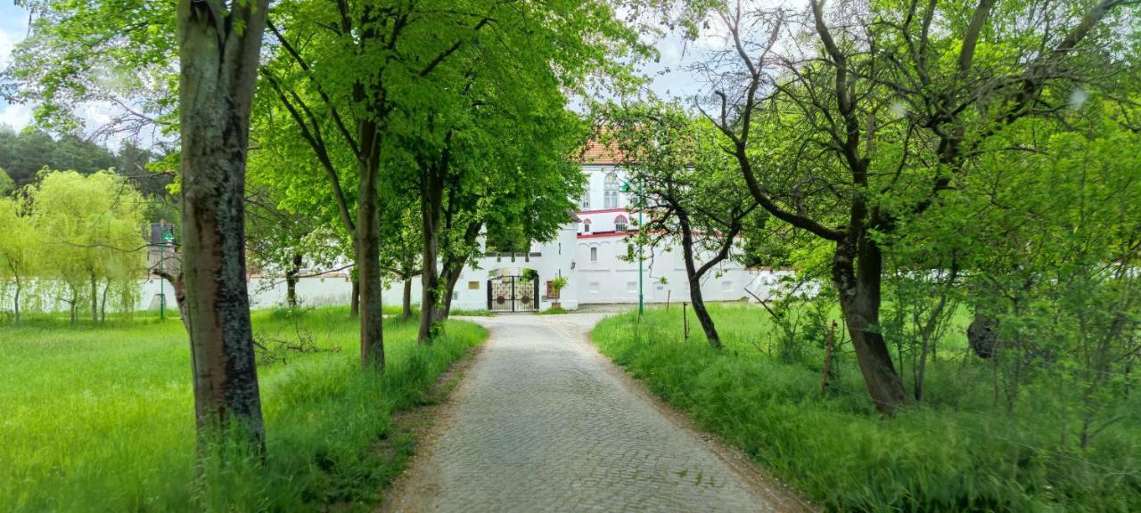 Fewo Vor Dem Berg Daire Heideblick Dış mekan fotoğraf